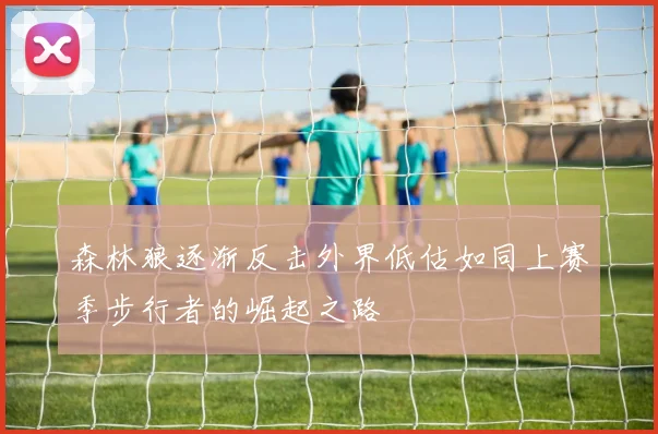 森林狼逐渐反击外界低估如同上赛季步行者的崛起之路